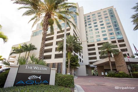 THE WESTIN TAMPA BAY Hotel (Florida): Prezzi e Recensioni (2024)