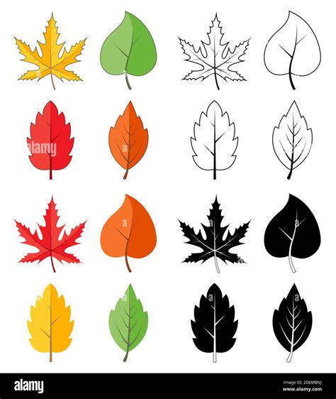 Leaves silhouette, outline and color icon set isolated on white ...