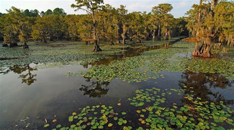 Visit Oil City: Best of Oil City, Louisiana Travel 2023 | Expedia Tourism