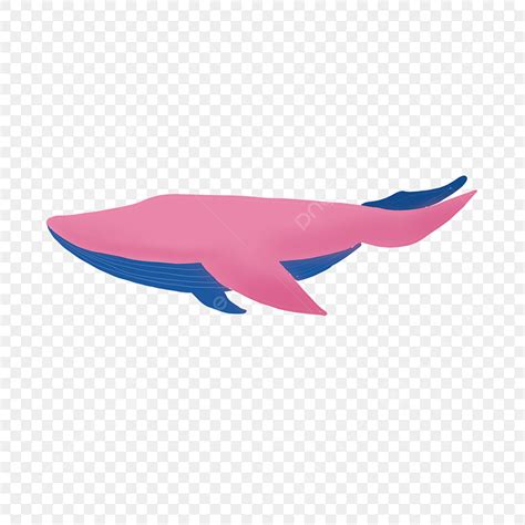 Pink Whale Clipart Vector, Cartoon Pink Big Whale Download, Cartoon ...