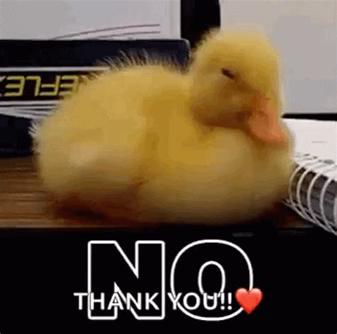 Nope Duck GIF - Nope Duck NoWay - Discover & Share GIFs