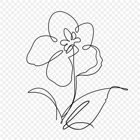 Jasmine Flower Outline Abstract Line Drawing, Flower Drawing, Wing Drawing, Outline Drawing PNG ...