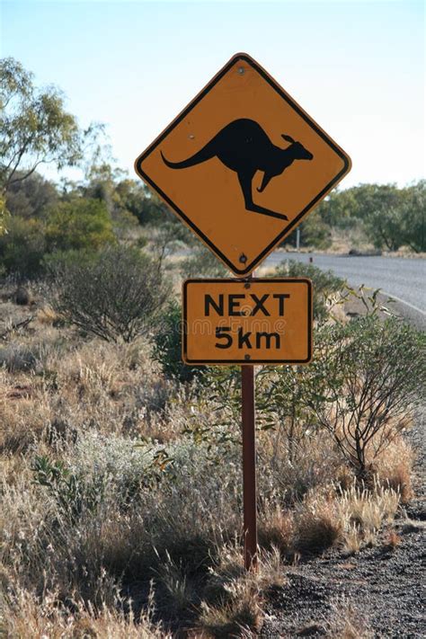 Kangaroo road sign stock image. Image of 20km, side, australia - 45336331