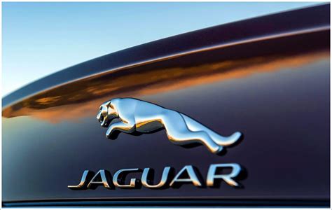 Jaguar Logo Wallpapers - Top Free Jaguar Logo Backgrounds - WallpaperAccess