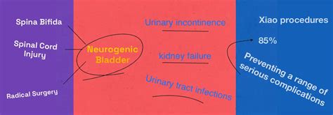 Neurogenic Bladder Can Be Cured: An Innovative Approach