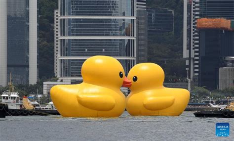 HK welcomes giant rubber ducks after 10 years | Nepalnews