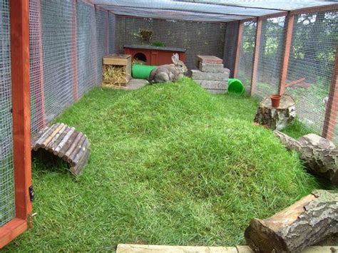 1000+ images about Outdoor Rabbit Housing on Pinterest | Guinea pigs, Opossum and Rabbit hutches