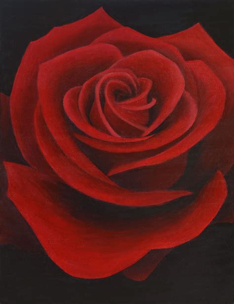 Deep Red Rose Painting - Art Lovers Australia