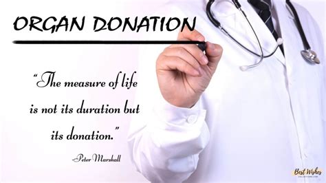 70+ Slogans on Organ Donation - Slogans Buddy