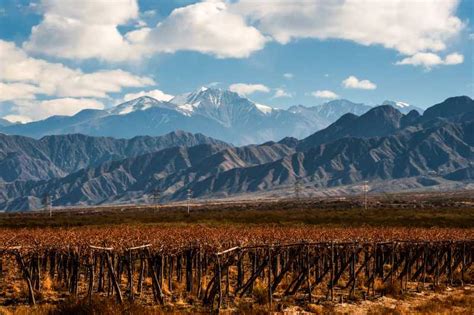 Mendoza: Full Day Wine Tour with 3 Course Lunch | GetYourGuide