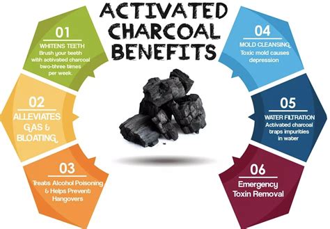 Guide to Using Activated Charcoal for a Stomach Bug - Healthy Huemans