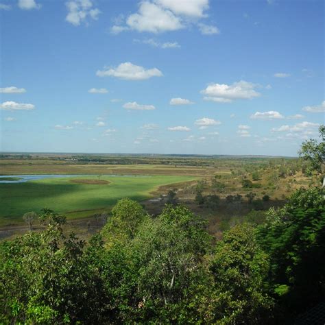 Window on the Wetlands Visitor Centre - Qué SABER antes de ir (ACTUALIZADO 2024) - Tripadvisor