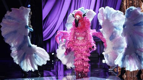 'The Masked Singer' Spoilers: Who Is Revealed? 11/20/2019