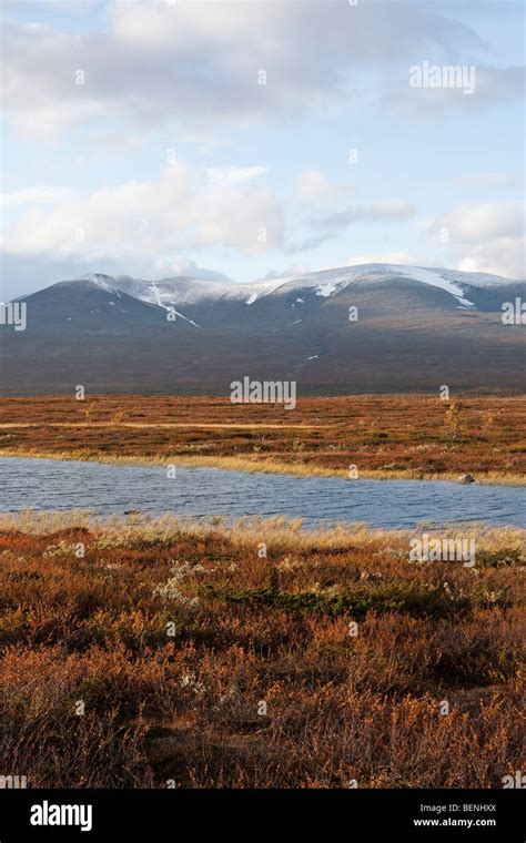 Sarek National Park Stock Photo - Alamy