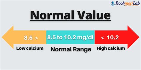 Calcium Test: Purpose, Results, Levels & Price [2022]