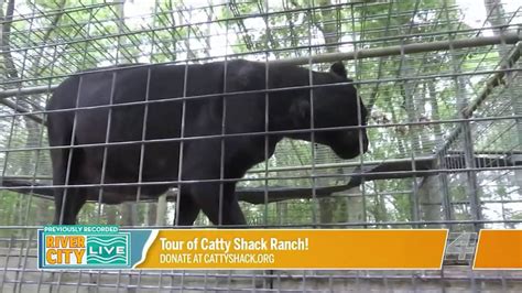 A Tour of Catty Shack Ranch Wildlife Sanctuary! | River City Live - YouTube