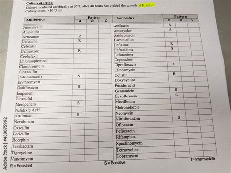 Urine Culture and sensitivity test, growth of Escherichia coli (E.coli ...