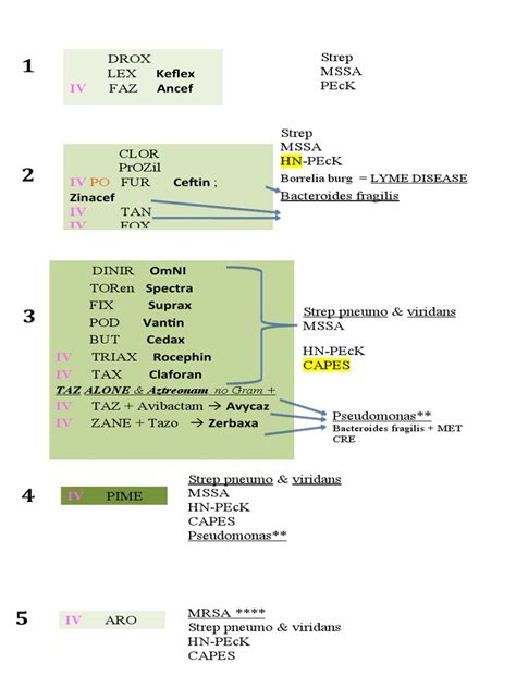 Cephalosporin Generations and Coverage | PDF