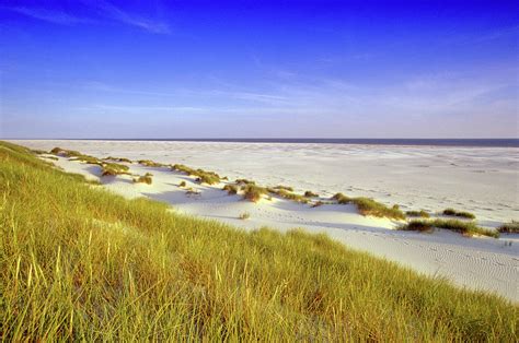 Dunes At Kniepsand Beach, Amrum Island by Heinz Wohner / Look-foto