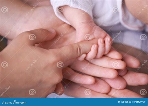 Family Hands Stock Photo - Image: 45045500