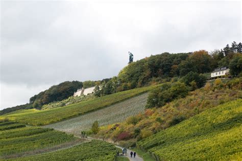 Walking the Rudesheim Vineyards - Entouriste