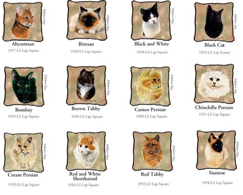 Cat Breeds Names With Pictures - Pets Lovers