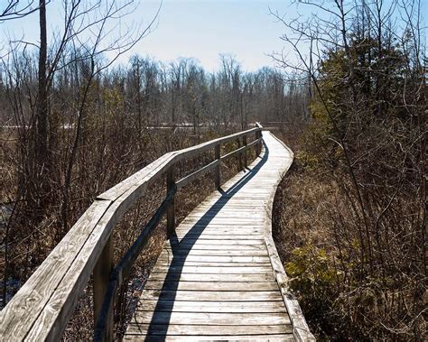 Winter Yurt Camping at MacGregor Point Provincial Park: What To Expect - Adventure Family Travel ...