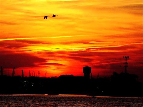 flying ducks at sunset | Flickr - Photo Sharing!