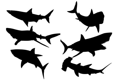 Shark Silhouette Vectors 93758 Vector Art at Vecteezy