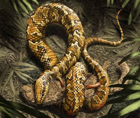 Four-Legged Snake Ancestor Dug Burrows With Tiny Limbs | Discover Magazine