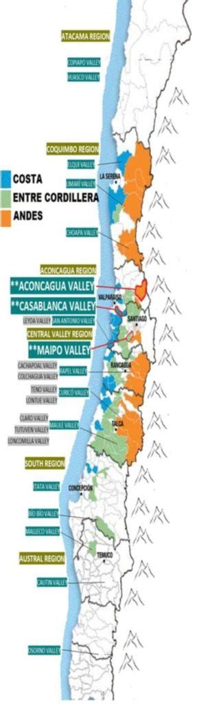 Wine Regions of Chile - Bodega Wine Tours