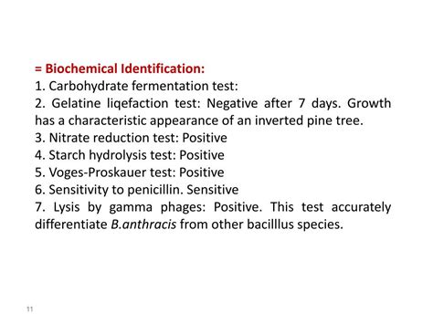 PPT - Diagnostic microbiology lecture: 11 Gram Positive, Endospore ...