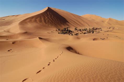 The Sahara Desert Has Grown 10 Percent Since 1920 - Yale E360