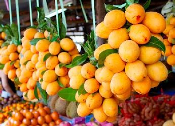 Karnataka Government Starts Website For Mangoes | Know All About ...