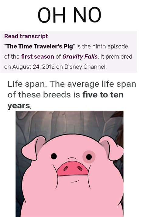 RIP Waddles : r/gravityfalls