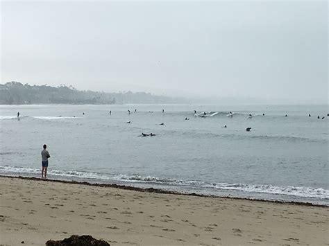 Doheny Beach day! | Doheny beach, Beach, Surfing