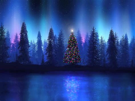 Christmas Wallpapers and Images and Photos: Christmas tree night, 3d ...