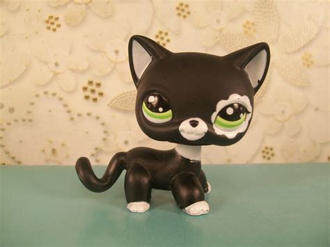 Cat #2249 RARE!! - Littlest Pet Shop Photo (33823192) - Fanpop