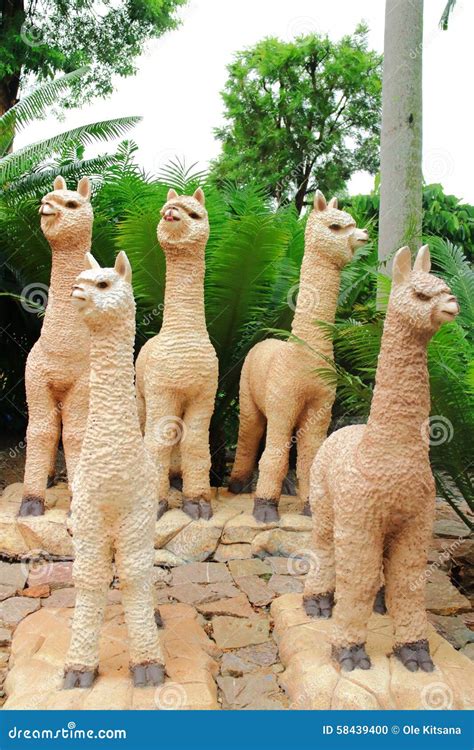 Llama statue stock photo. Image of garden, chonburi, llama - 58439400