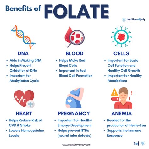 Microblog: Is Folate-Deficiency a Concern on a Carnivore Diet? - Nutrition With Judy