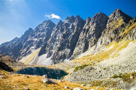 サイズ TATRAS - TATRASの通販 by black｜タトラスならラクマ クマパック