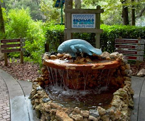 Homosassa Springs Wildlife Park : Homosassa Florida