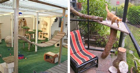 These Are The Most Epic Cat Patios (AKA Catios) We've Ever Seen