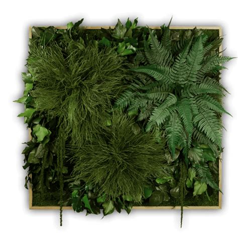 Jardin Vertical Artificial, Vertical Garden, Moss Wall Art, Moss Art ...