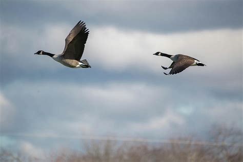 How Much Farther? Photograph by Michael Koski - Fine Art America