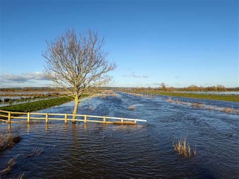 Somerset Levels Flood stock image. Image of river, lake - 303202139