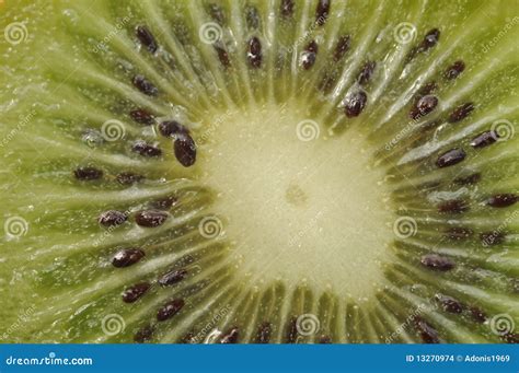 Kiwi Seeds stock photo. Image of fruit, juicy, abstract - 13270974