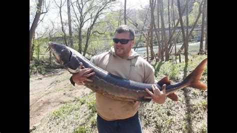 Fish caught in Tennessee is nearly 30 years old, state says | Raleigh News & Observer