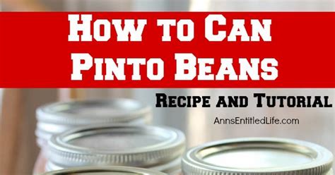 10 Best Canned Pinto Beans Recipes | Yummly