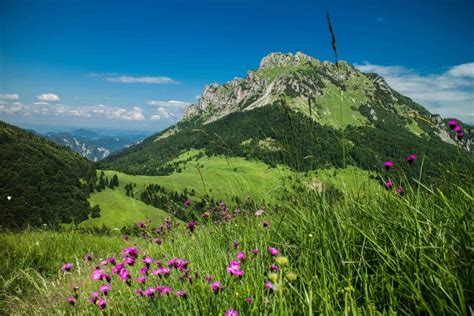 Why to visit Mala Fatra mountains | SLOVAKATION